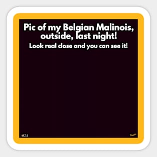 Pic of my Belgian Malinois, outside, last night! Sticker